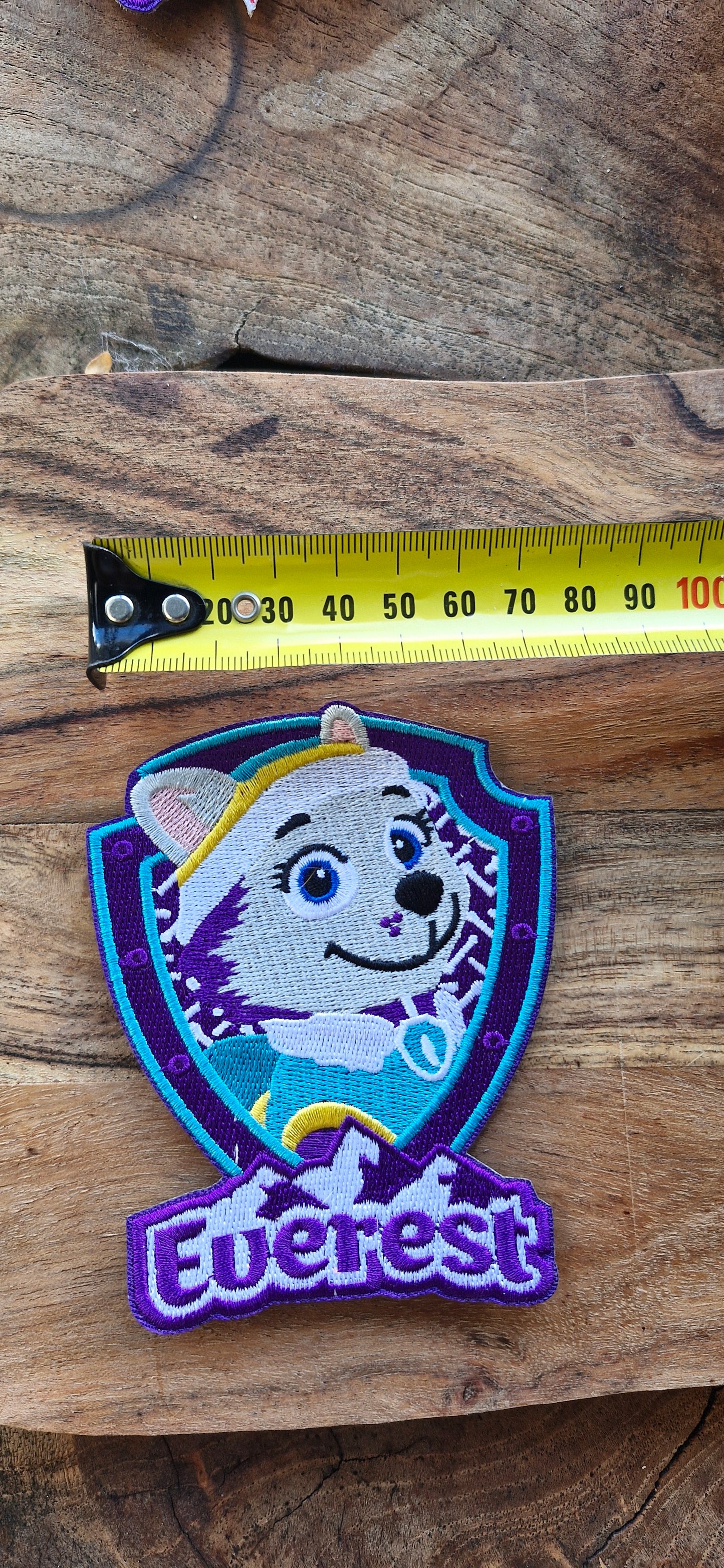 Paw Patrol, Kids Cartoon, TV Show, Iron On Embroidery Patch